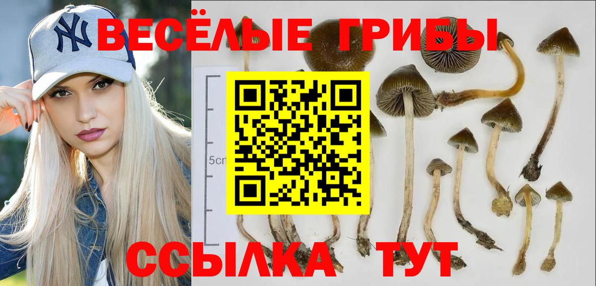 Галлюциногенные грибы мицелий Иркутск
