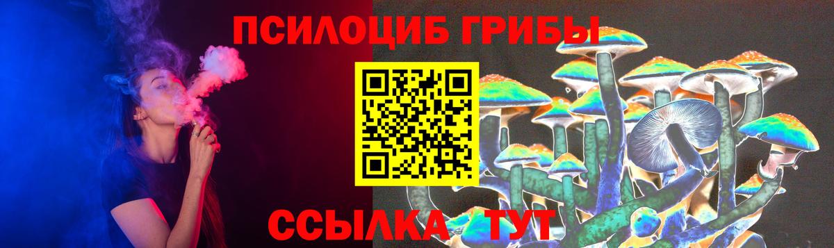 Иркутск  Псилоцибиновые грибы Psilocybine cubensis  Вход с VPN 
